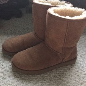light brown short uggs